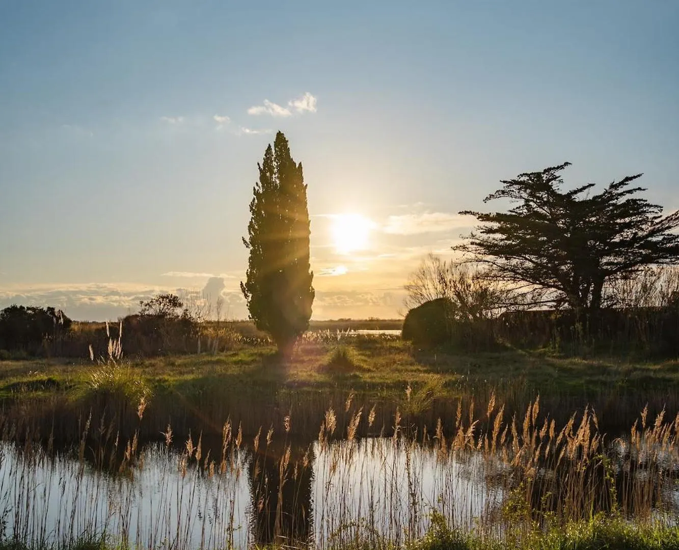 Bed & Breakfast Mas Du Couvin, Maison D'Hotes En Camargue Saintes-Maries-de-la-Mer