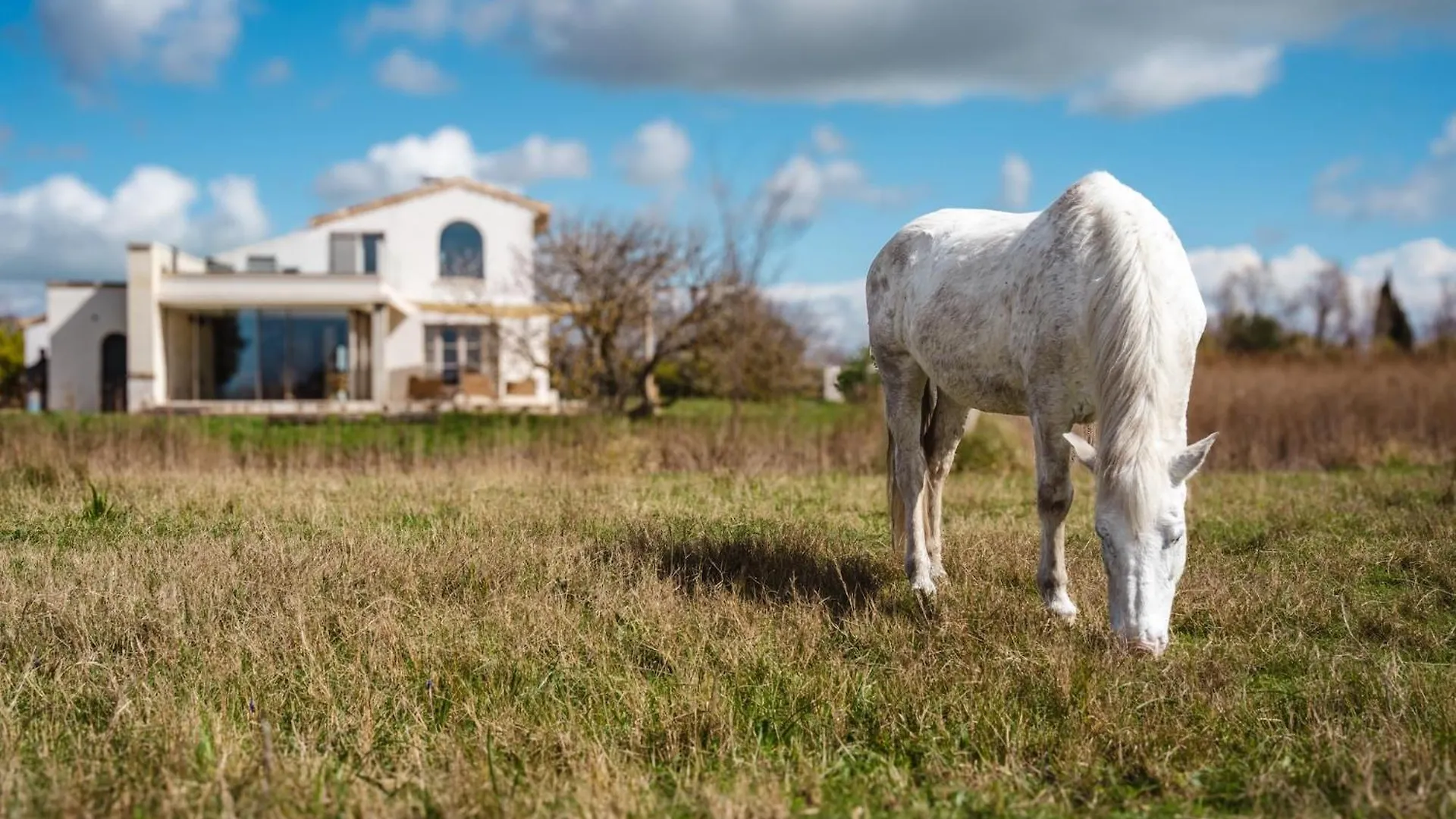 Mas Du Couvin, Maison D'Hotes En Camargue Saintes-Maries-de-la-Mer 5*,
