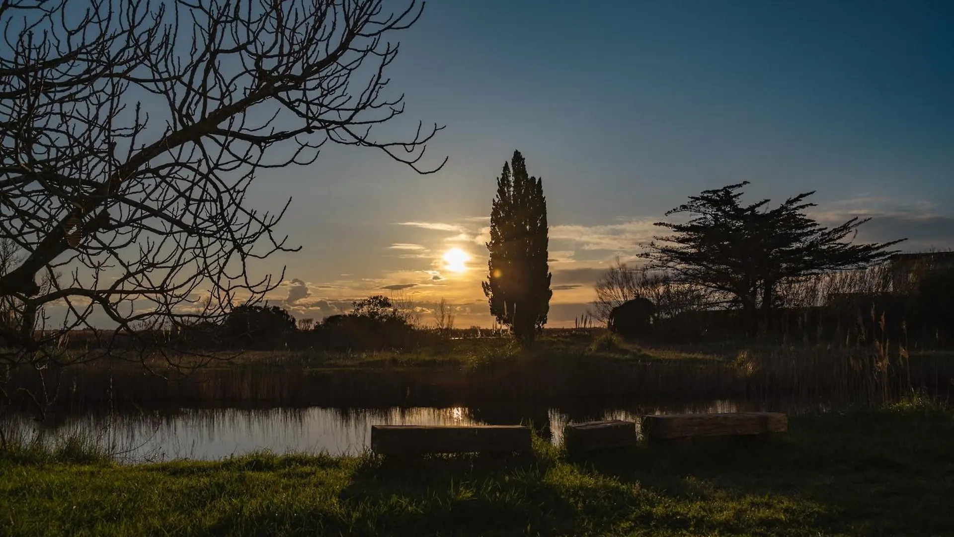 Mas Du Couvin, Maison D'Hotes En Camargue Saintes-Maries-de-la-Mer Bed & Breakfast