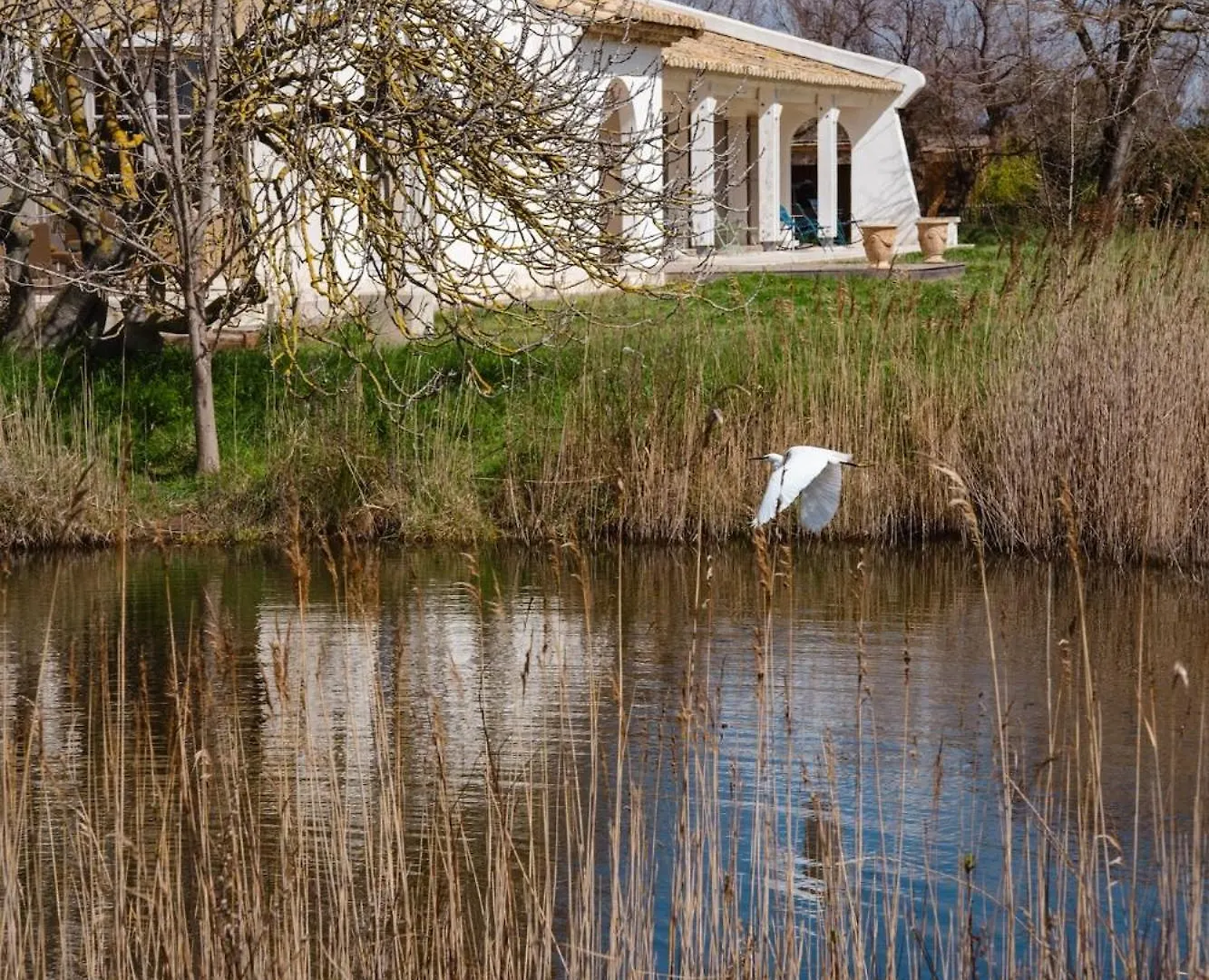 Mas Du Couvin, Maison D'Hotes En Camargue Saintes-Maries-de-la-Mer Francia