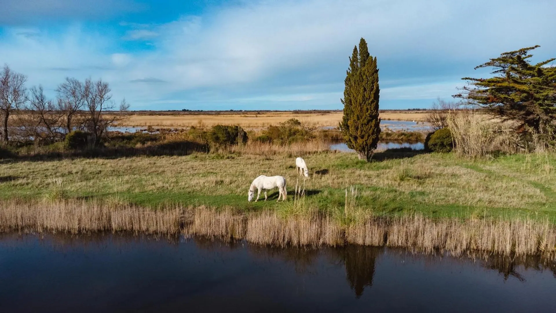 Mas Du Couvin, Maison D'Hotes En Camargue Saintes-Maries-de-la-Mer Bed & Breakfast